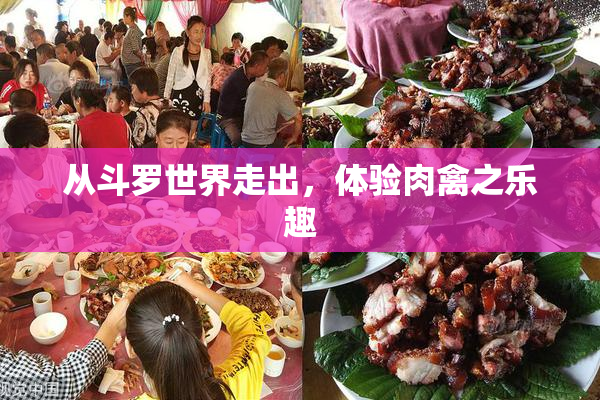 从斗罗世界走出，体验肉禽之乐趣
