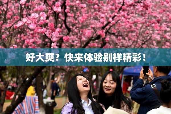 好大爽？快来体验别样精彩！