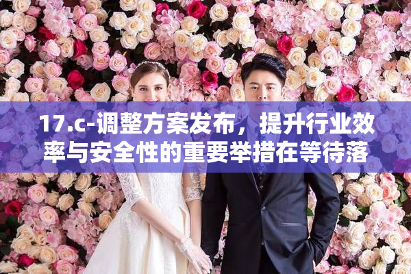 17.c-调整方案发布，提升行业效率与安全性的重要举措在等待落实。