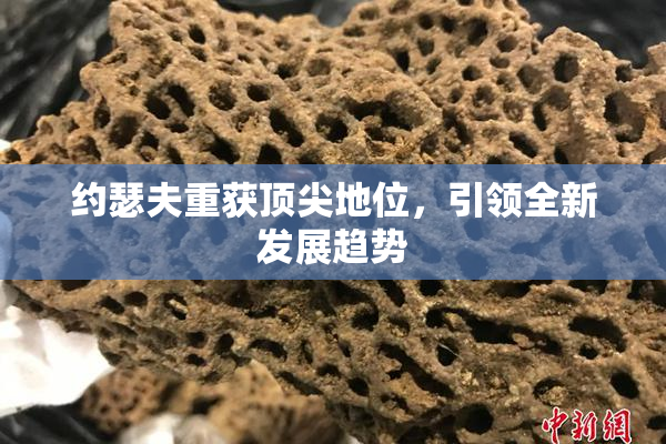 约瑟夫重获顶尖地位，引领全新发展趋势
