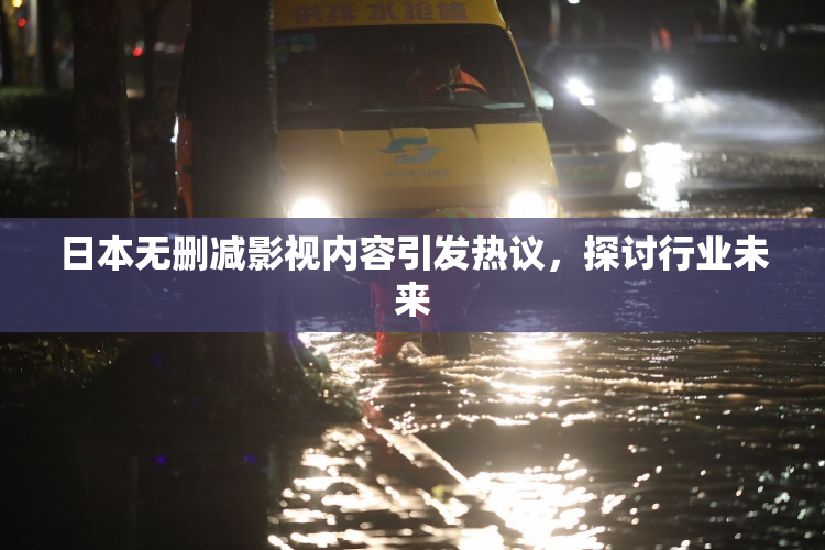 日本无删减影视内容引发热议，探讨行业未来
