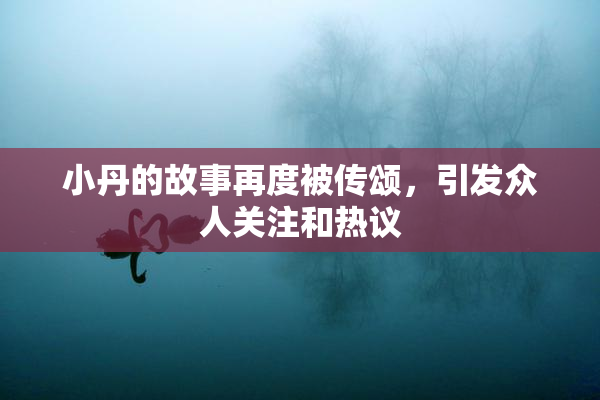 小丹的故事再度被传颂，引发众人关注和热议