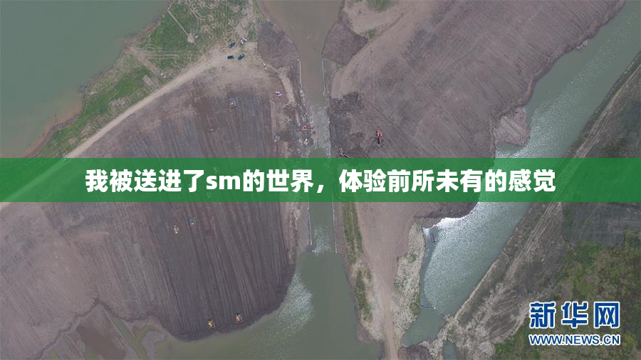 我被送进了sm的世界，体验前所未有的感觉