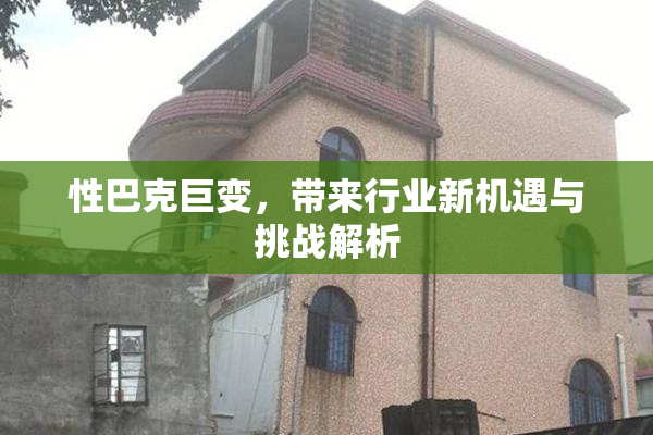 性巴克巨变，带来行业新机遇与挑战解析