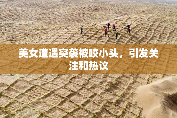 美女遭遇突袭被咬小头，引发关注和热议