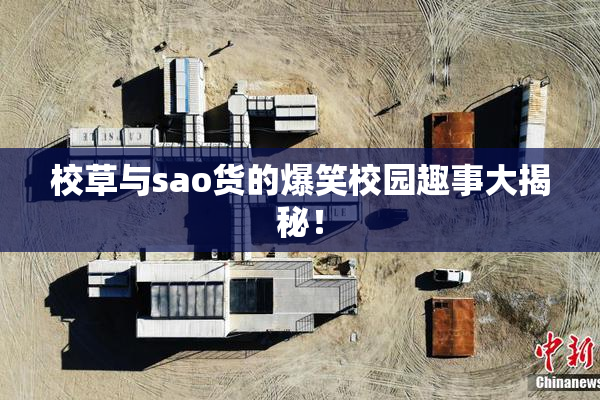 校草与sao货的爆笑校园趣事大揭秘！