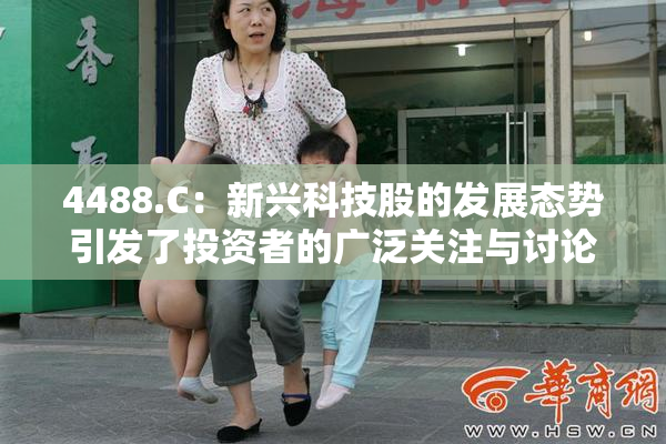 4488.C：新兴科技股的发展态势引发了投资者的广泛关注与讨论。
