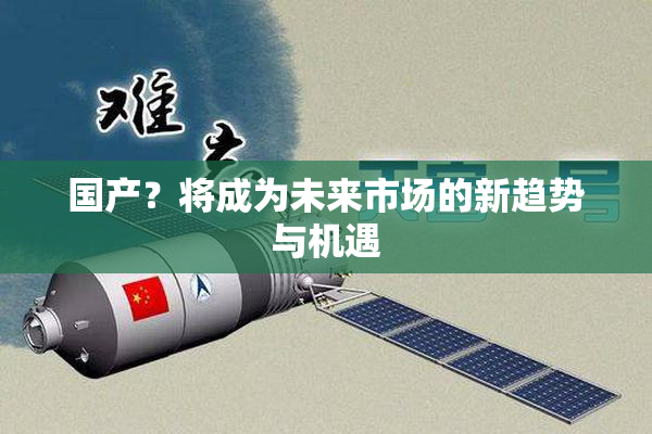 国产？将成为未来市场的新趋势与机遇