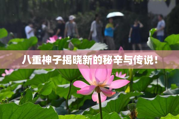 八重神子揭晓新的秘辛与传说！