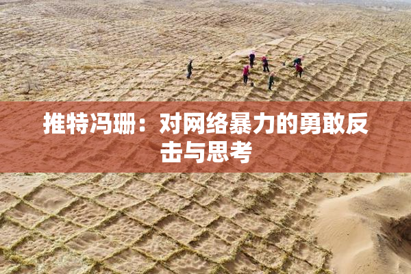 推特冯珊：对网络暴力的勇敢反击与思考