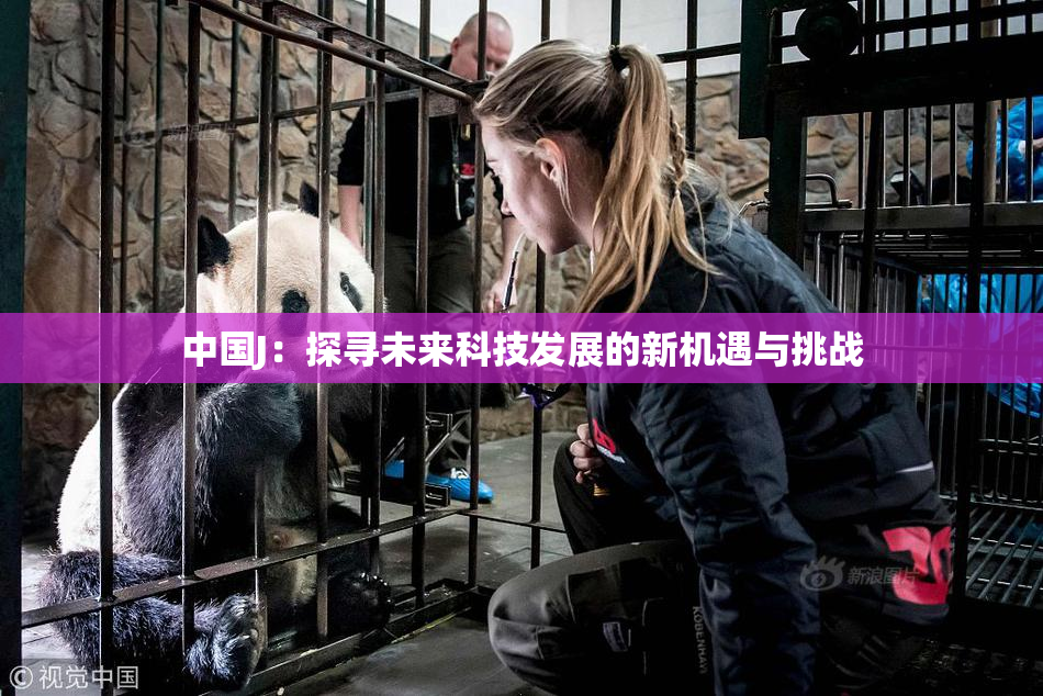 中国J：探寻未来科技发展的新机遇与挑战
