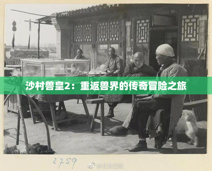 沙村兽皇2：重返兽界的传奇冒险之旅