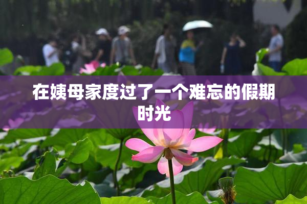 在姨母家度过了一个难忘的假期时光
