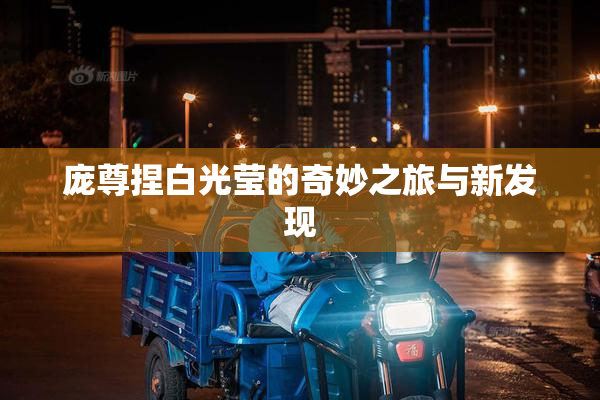 庞尊捏白光莹的奇妙之旅与新发现