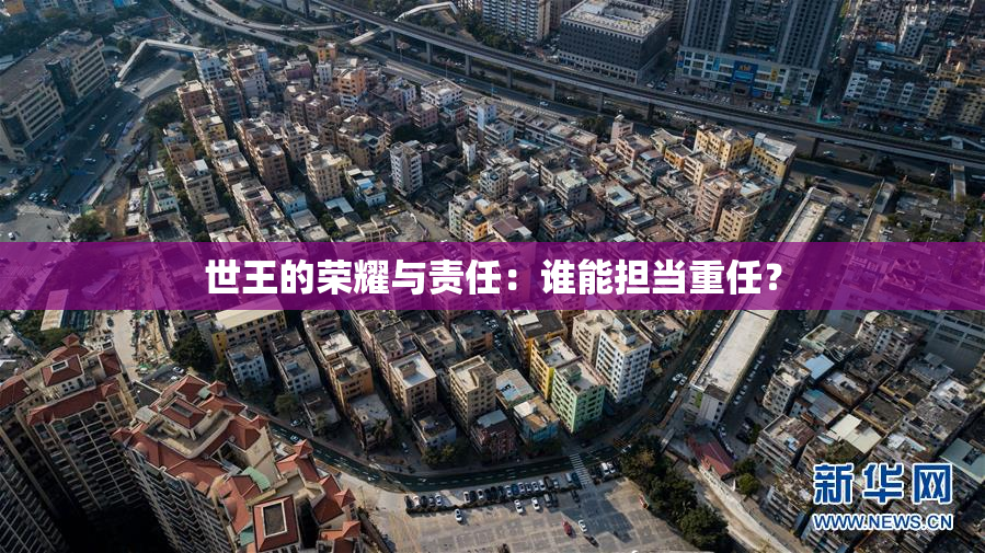 世王的荣耀与责任：谁能担当重任？