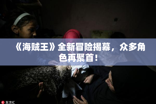 《海贼王》全新冒险揭幕，众多角色再聚首！