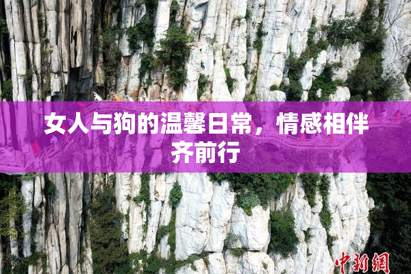 女人与狗的温馨日常，情感相伴齐前行