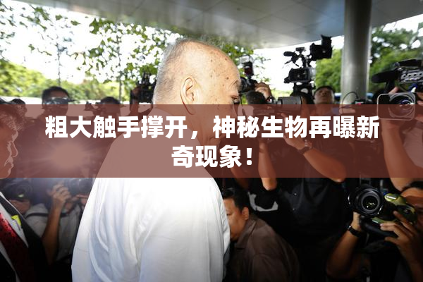 粗大触手撑开，神秘生物再曝新奇现象！