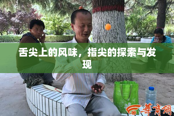 舌尖上的风味，指尖的探索与发现