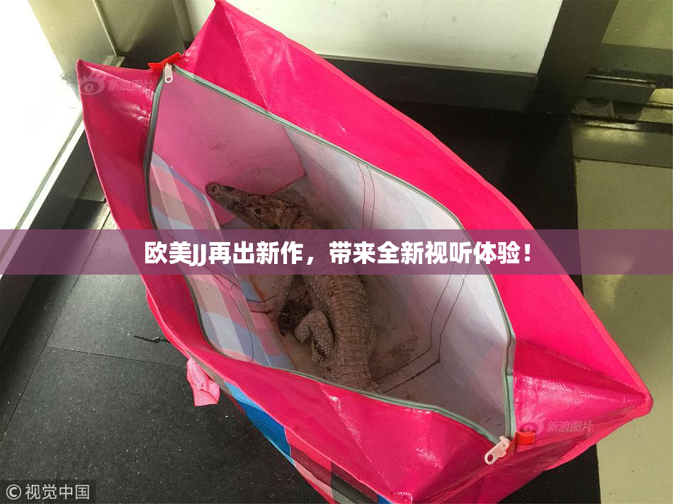 欧美JJ再出新作，带来全新视听体验！