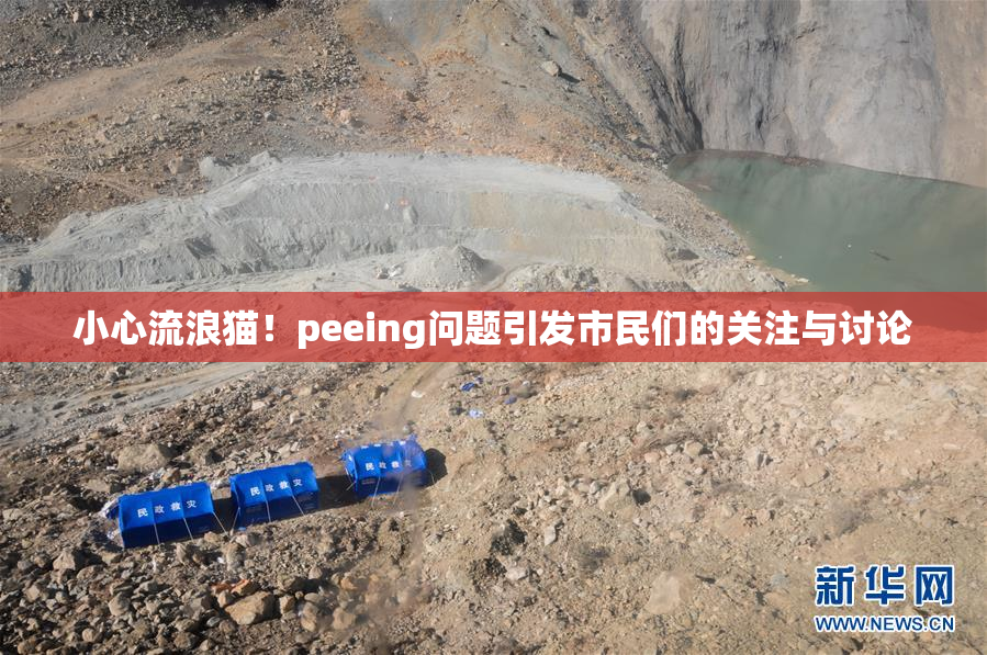 小心流浪猫！peeing问题引发市民们的关注与讨论