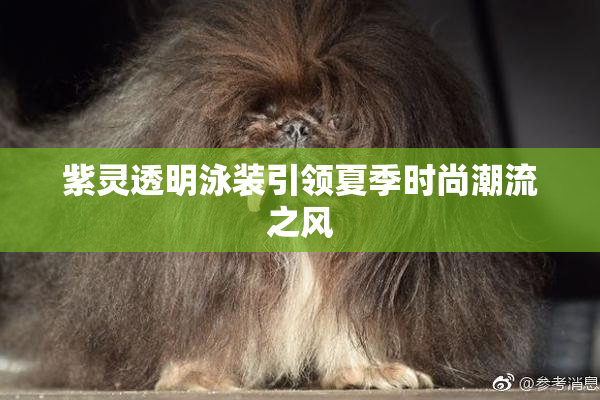 紫灵透明泳装引领夏季时尚潮流之风