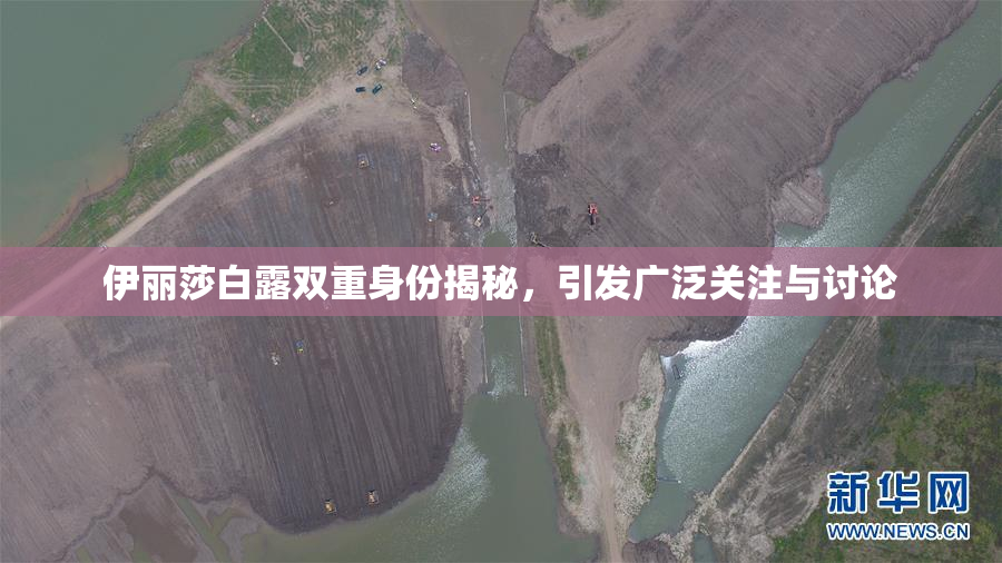 伊丽莎白露双重身份揭秘，引发广泛关注与讨论