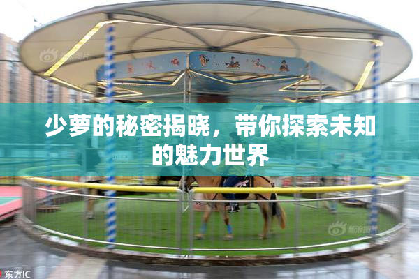 少萝的秘密揭晓，带你探索未知的魅力世界