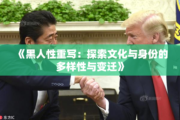 《黑人性重写：探索文化与身份的多样性与变迁》