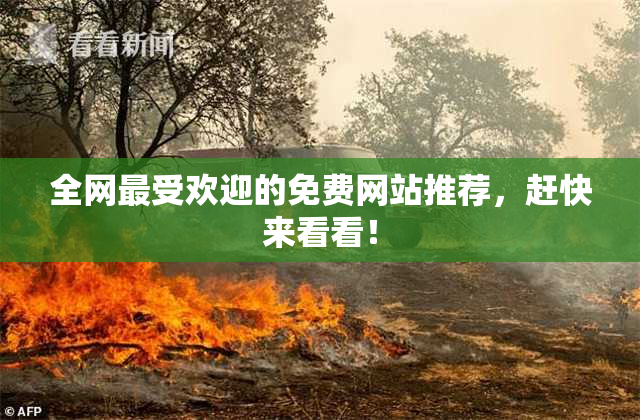 全网最受欢迎的免费网站推荐，赶快来看看！