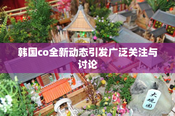韩国co全新动态引发广泛关注与讨论