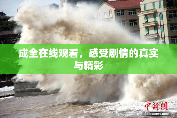 成全在线观看，感受剧情的真实与精彩