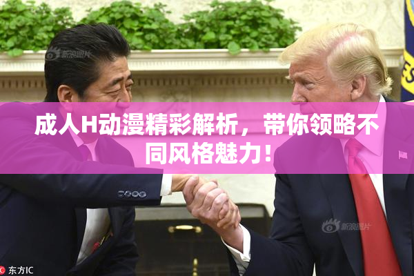 成人H动漫精彩解析，带你领略不同风格魅力！