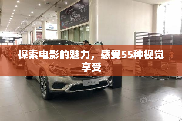 探索电影的魅力，感受55种视觉享受