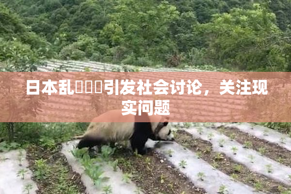 日本乱婬妺妺引发社会讨论，关注现实问题