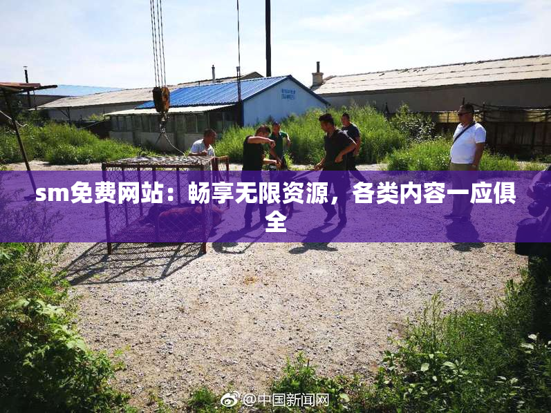 sm免费网站：畅享无限资源，各类内容一应俱全