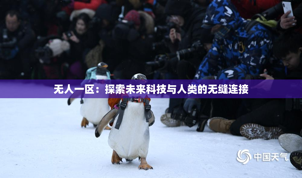 无人一区：探索未来科技与人类的无缝连接