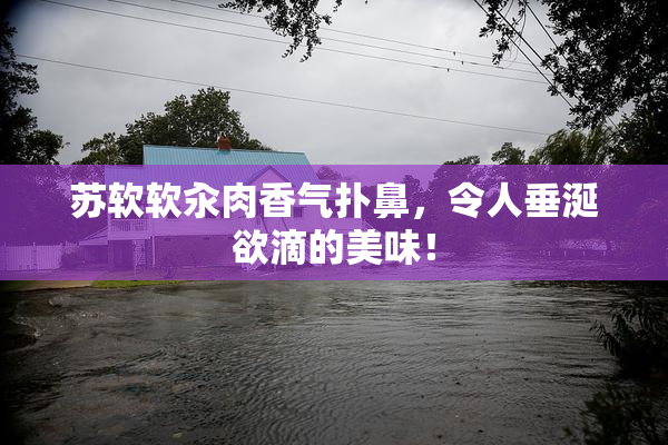 苏软软汆肉香气扑鼻，令人垂涎欲滴的美味！