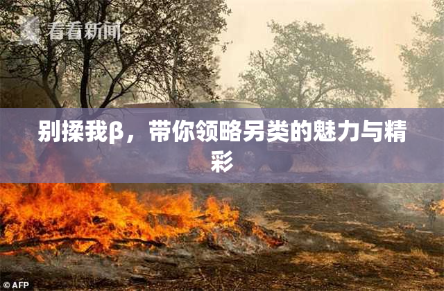 别揉我β，带你领略另类的魅力与精彩