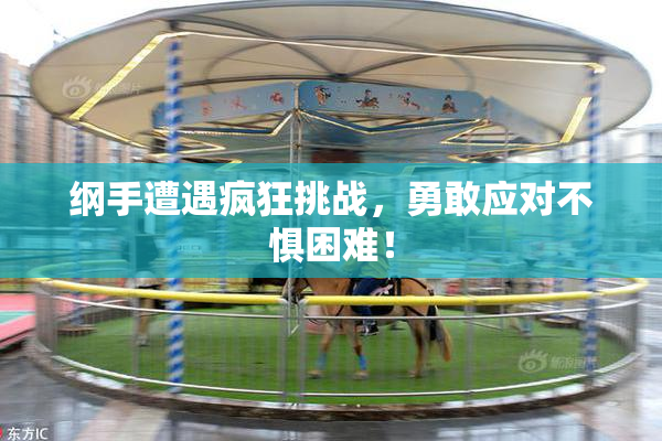 纲手遭遇疯狂挑战，勇敢应对不惧困难！