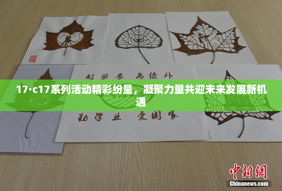 17·c17系列活动精彩纷呈，凝聚力量共迎未来发展新机遇