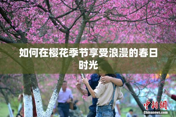 如何在樱花季节享受浪漫的春日时光