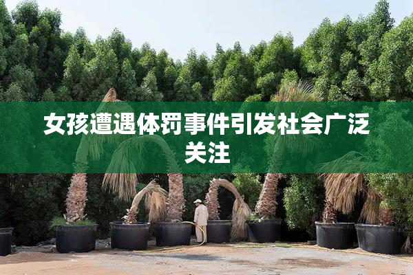 女孩遭遇体罚事件引发社会广泛关注