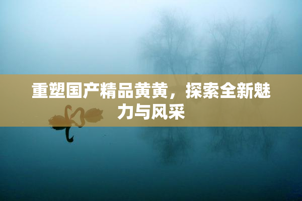 重塑国产精品黄黄，探索全新魅力与风采