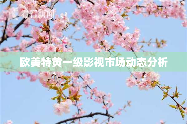 欧美特黄一级影视市场动态分析