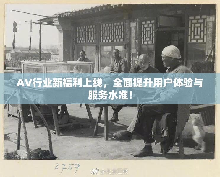 AV行业新福利上线，全面提升用户体验与服务水准！
