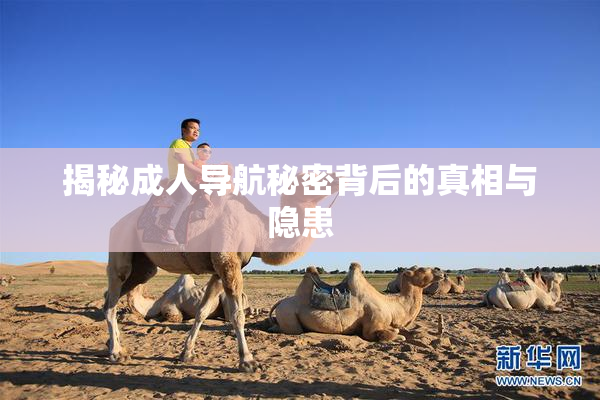 揭秘成人导航秘密背后的真相与隐患
