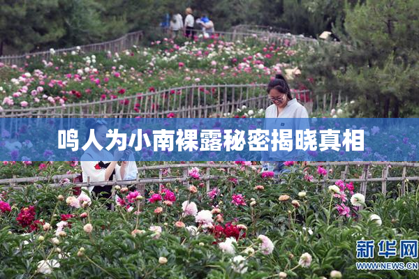 鸣人为小南裸露秘密揭晓真相
