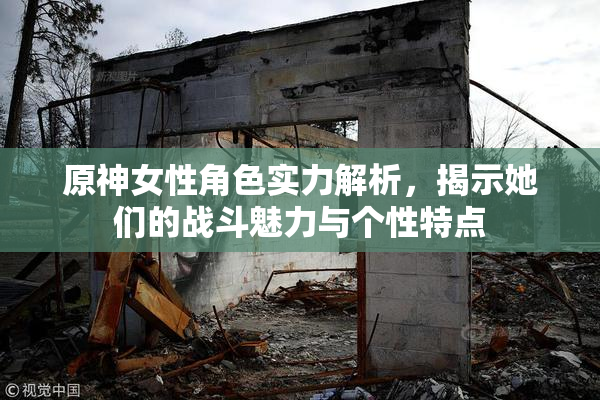 原神女性角色实力解析，揭示她们的战斗魅力与个性特点