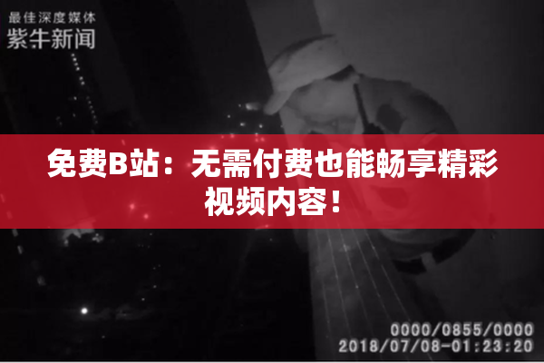 免费B站：无需付费也能畅享精彩视频内容！